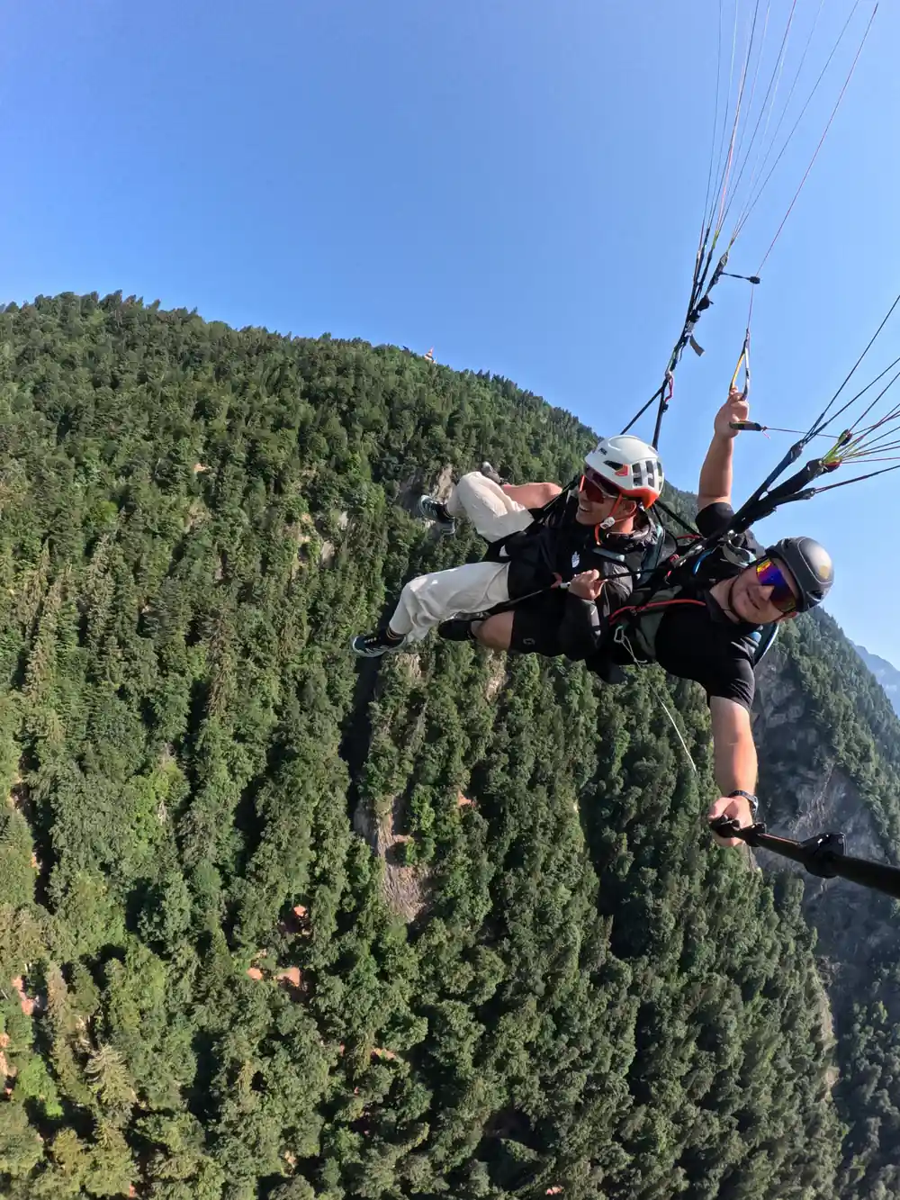 A tandem above the dark green of the forest
