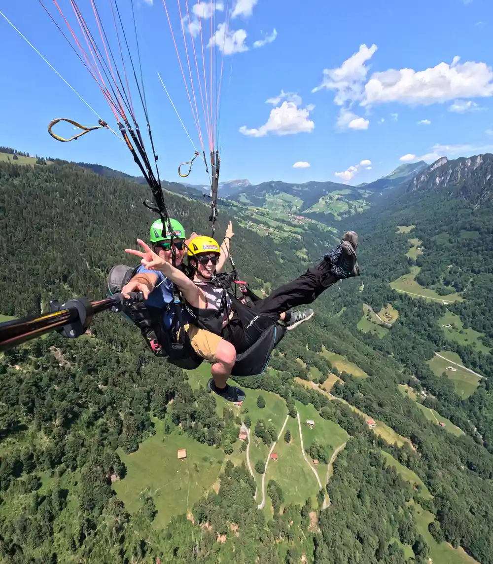 A tandem above the green pasture and the ridge